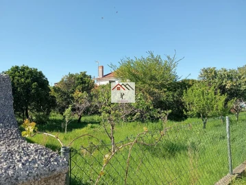 Moradia T2 para Venda em Tocha