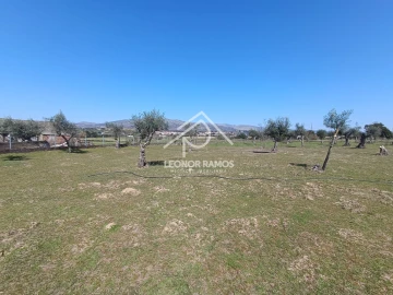 Quinta T0 para Venda em Soalheira