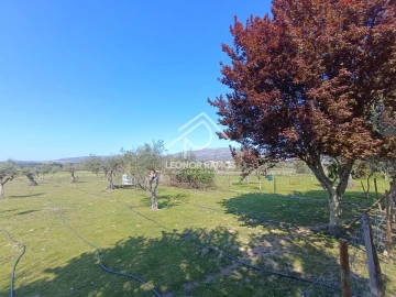 Quinta T0 para Venda em Soalheira