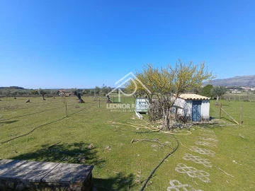 Quinta T0 para Venda em Soalheira