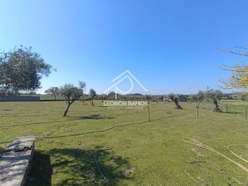 Quinta T0 para Venda em Soalheira