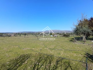 Quinta T0 para Venda em Soalheira