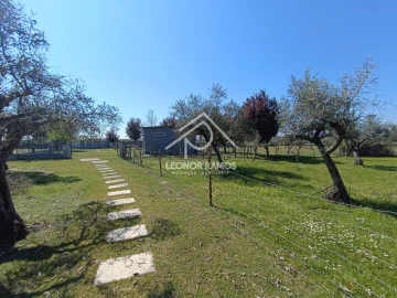 Quinta T0 para Venda em Soalheira