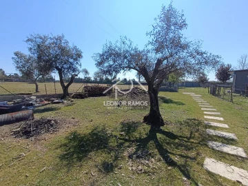 Quinta T0 para Venda em Soalheira