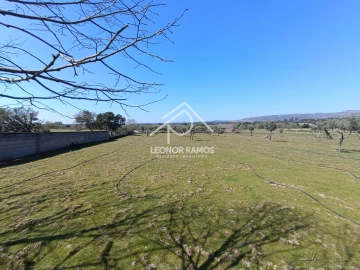 Quinta T0 para Venda em Soalheira