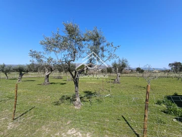 Quinta T0 para Venda em Soalheira