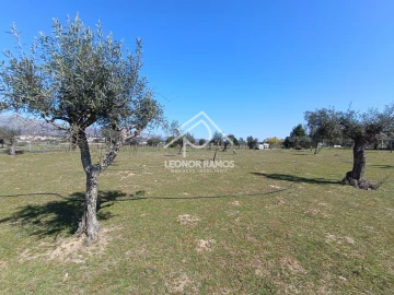 Quinta T0 para Venda em Soalheira