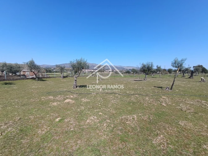 Quinta T0 para Venda em Soalheira Foto 20