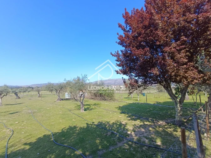 Quinta T0 para Venda em Soalheira