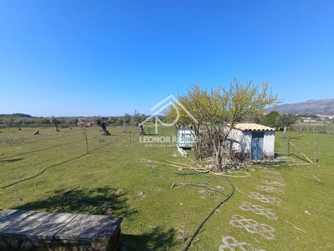 Quinta T0 para Venda em Soalheira Foto 15