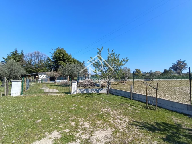 Quinta T0 para Venda em Soalheira Foto 9