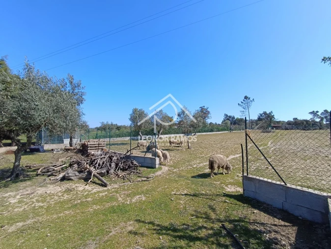 Quinta T0 para Venda em Soalheira Foto 10