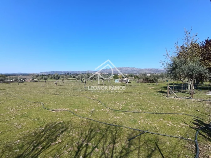 Quinta T0 para Venda em Soalheira Foto 5