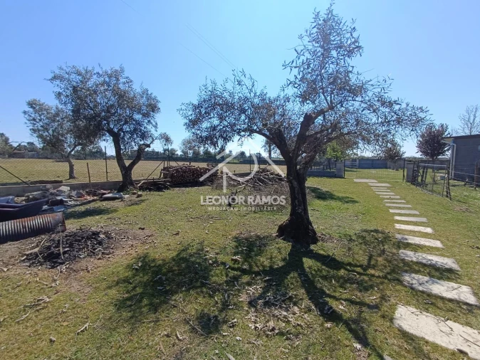 Quinta T0 para Venda em Soalheira Foto 23