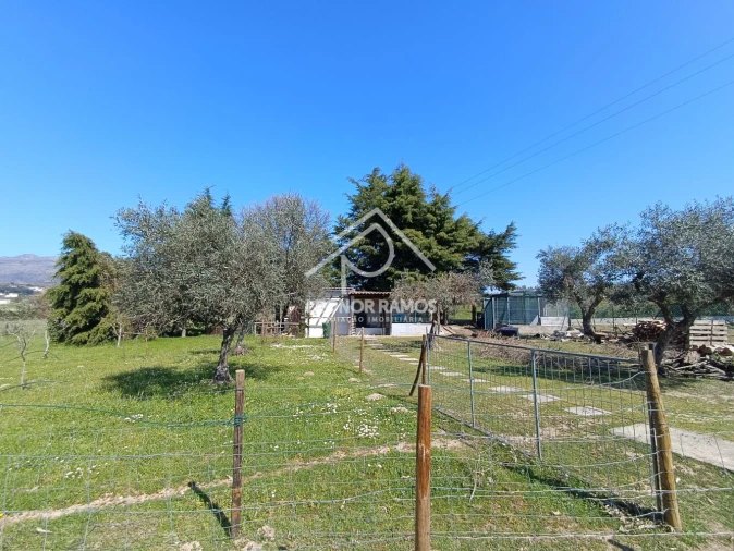 Quinta T0 para Venda em Soalheira Foto 14