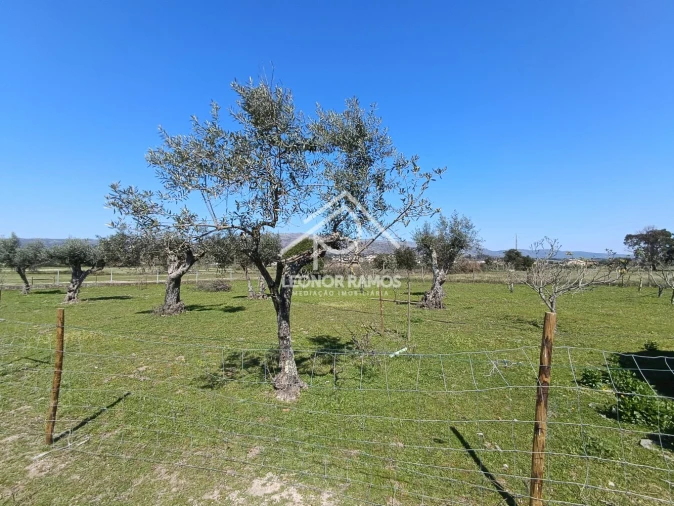 Quinta T0 para Venda em Soalheira Foto 18