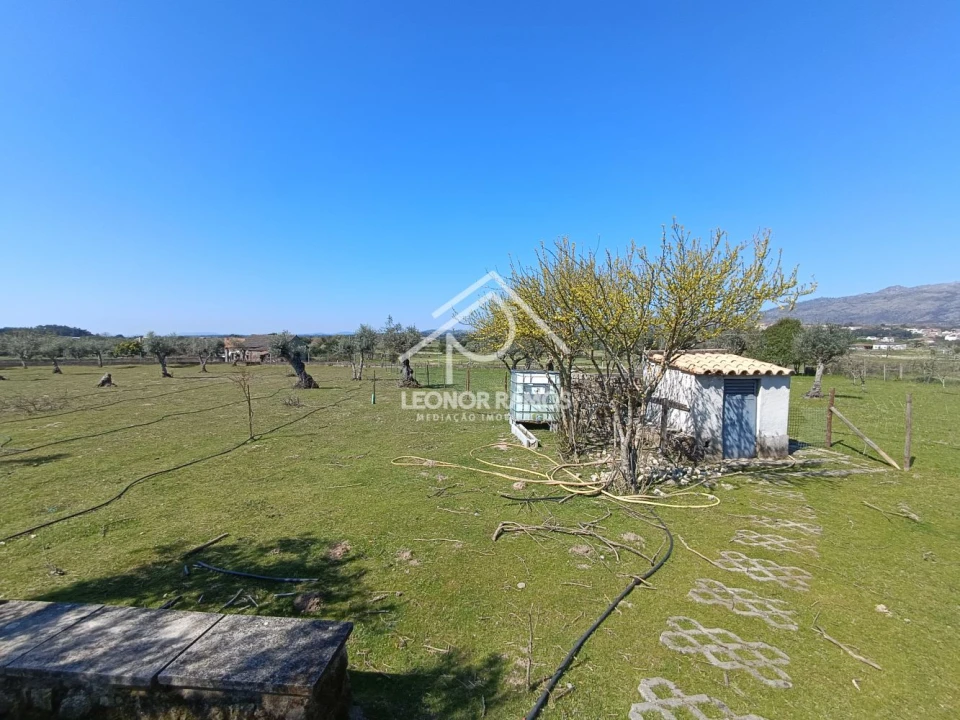 Quinta T0 para Venda em Soalheira Foto 15