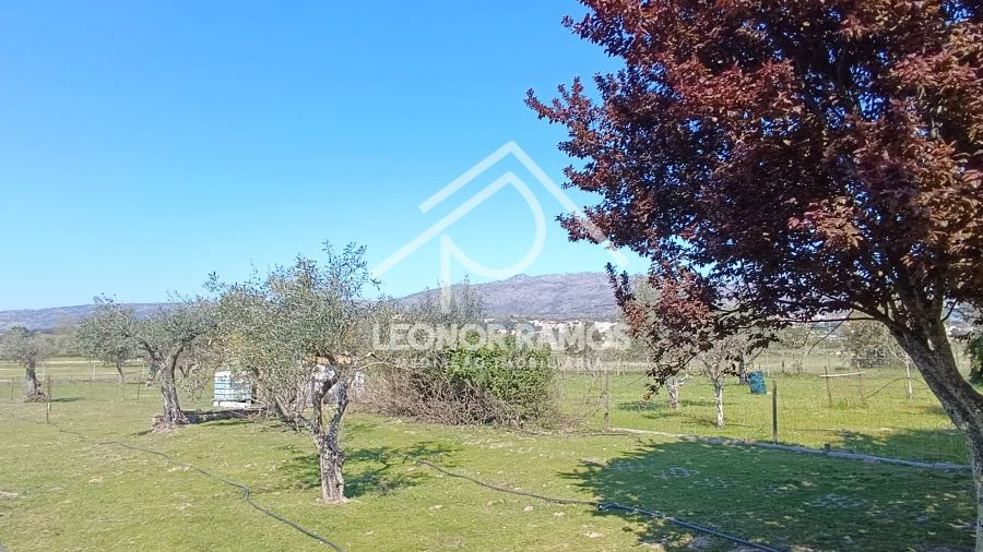 Quinta T0 para Venda em Soalheira