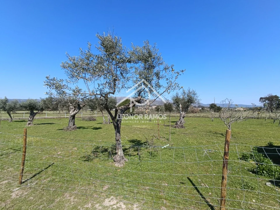 Quinta T0 para Venda em Soalheira Foto 18