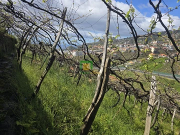 Terreno para Venda em Estreito de Camara de Lobos