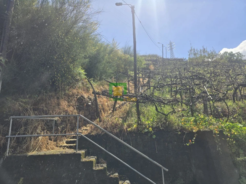 Terreno para Venda em Estreito de Camara de Lobos Foto 2