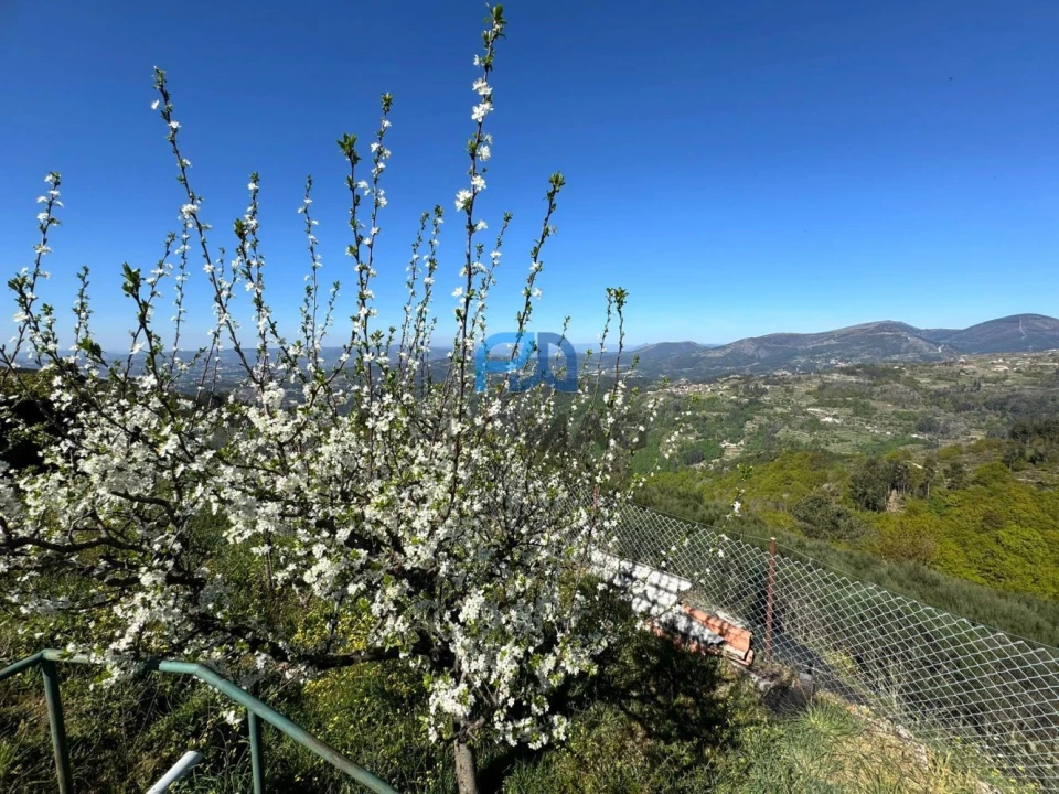 Moradia T2 para Venda em Bustelo, Carneiro e Carvalho de Rei Foto 9