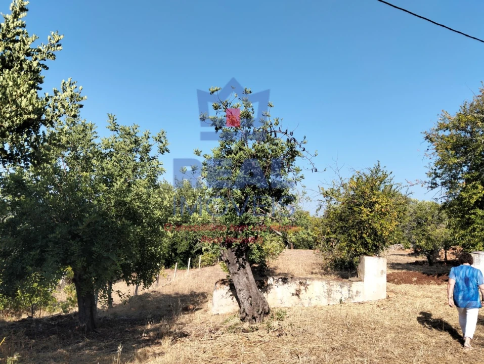 Moradia para Venda em Querença, Tôr e Benafim Foto 2