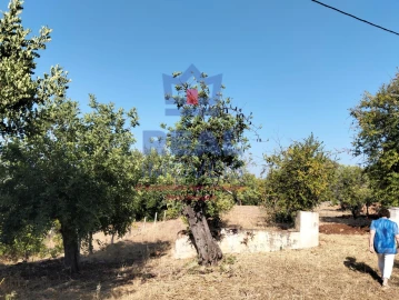 Moradia para Venda em Querença, Tôr e Benafim