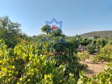 Moradia para Venda em Querença, Tôr e Benafim