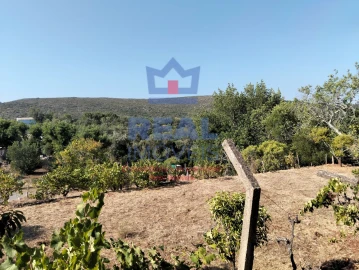 Moradia para Venda em Querença, Tôr e Benafim