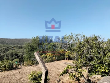 Moradia para Venda em Querença, Tôr e Benafim