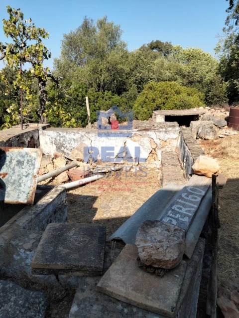 Moradia para Venda em Querença, Tôr e Benafim