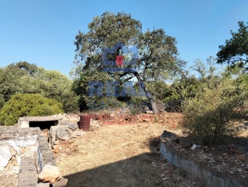 Moradia para Venda em Querença, Tôr e Benafim