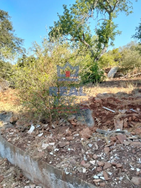 Moradia para Venda em Querença, Tôr e Benafim