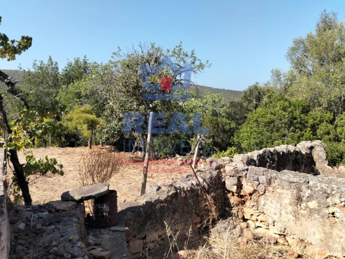Moradia para Venda em Querença, Tôr e Benafim Foto 20