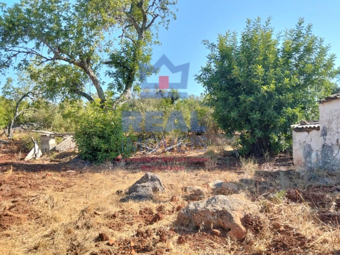 Moradia para Venda em Querença, Tôr e Benafim Foto 23