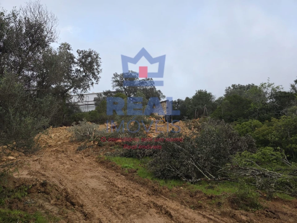 Terreno para Venda em Santa Barbara de Nexe Foto 6