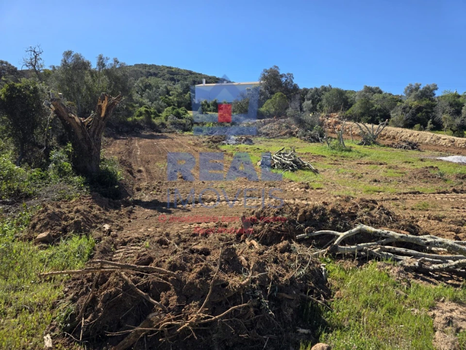 Terreno para Venda em Santa Barbara de Nexe Foto 10