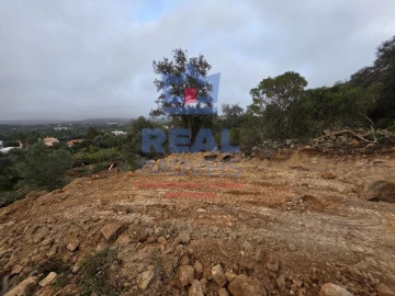 Terreno para Venda em Santa Barbara de Nexe