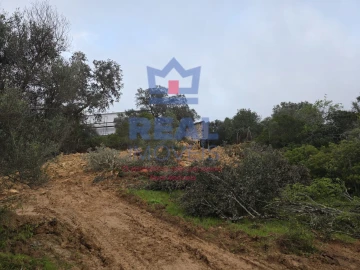 Terreno para Venda em Santa Barbara de Nexe