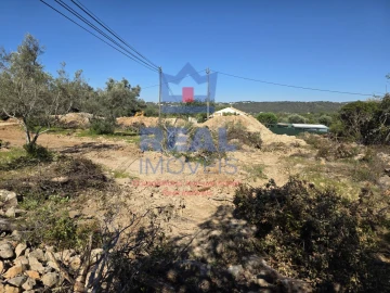 Terreno para Venda em Santa Barbara de Nexe