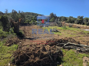 Terreno para Venda em Santa Barbara de Nexe