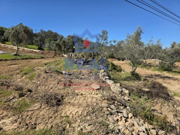 Terreno para Venda em Santa Barbara de Nexe