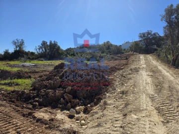 Terreno para Venda em Santa Barbara de Nexe