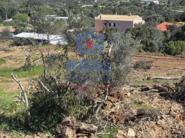 Terreno para Venda em Santa Barbara de Nexe