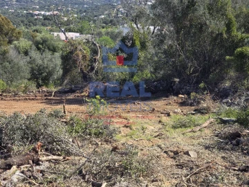 Terreno para Venda em Santa Barbara de Nexe
