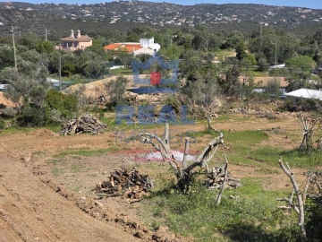 Terreno para Venda em Santa Barbara de Nexe