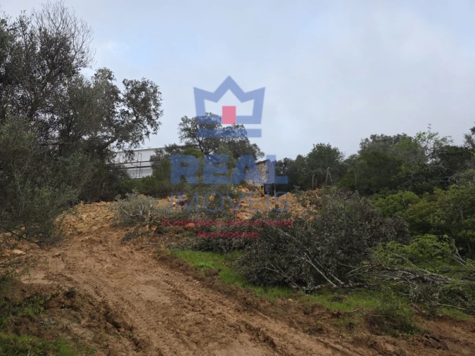 Terreno para Venda em Santa Barbara de Nexe Foto 6