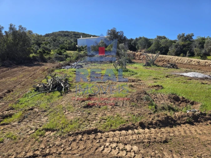 Terreno para Venda em Santa Barbara de Nexe Foto 9