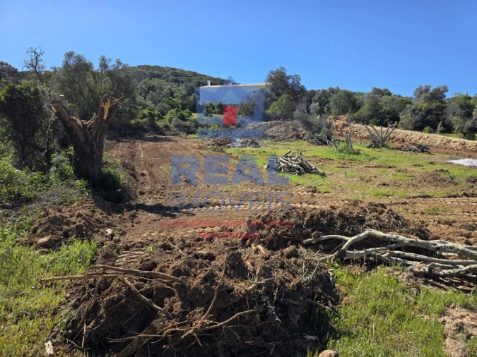 Terreno para Venda em Santa Barbara de Nexe Foto 10
